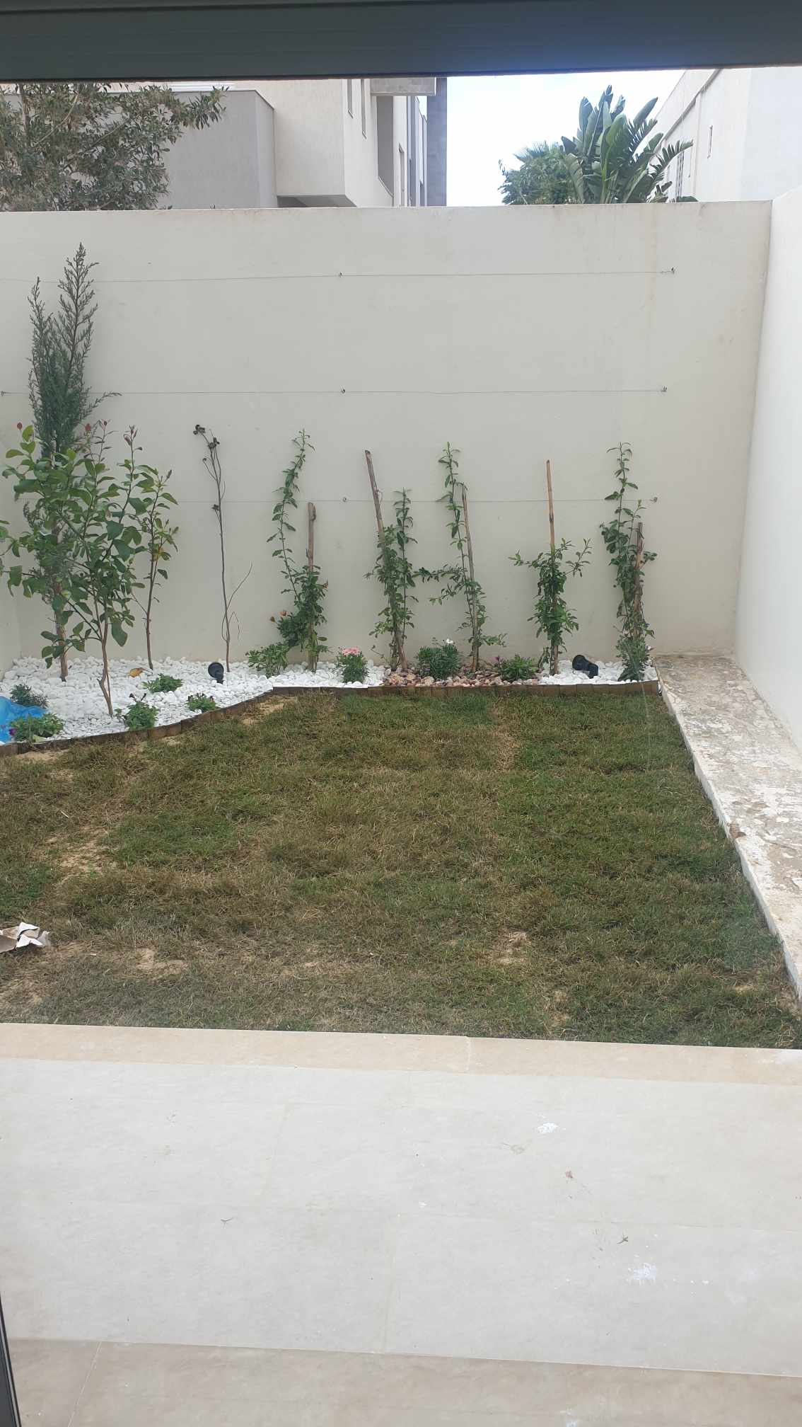 Ain Zaghouan Jardins de Carthage Vente Appart. 2 pices S1 jamais habit avev jardin