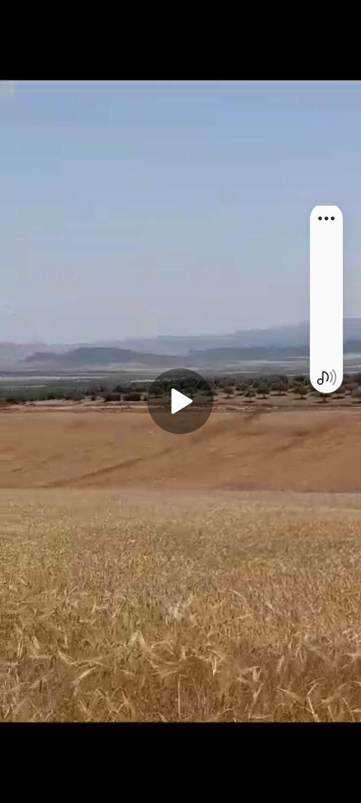 Testour Ain Younes Vente Surfaces Terrain agricole